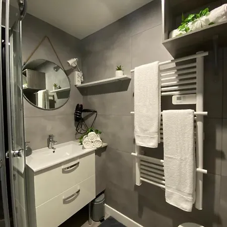 Le Picanais Appartement *
